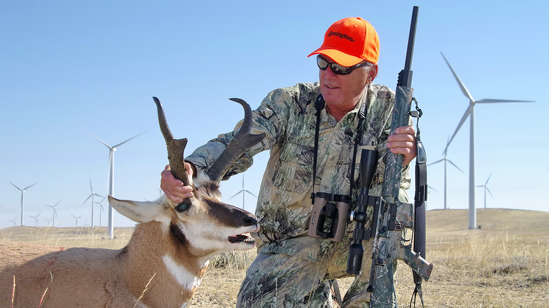 Western Pronghorn, antelope