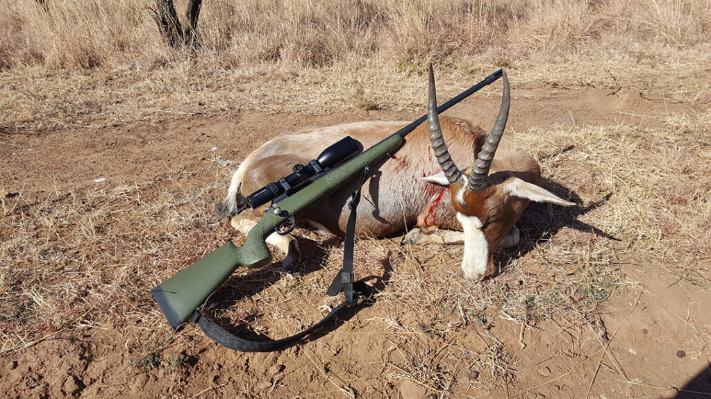 One of the author’s hunting rifles combines precision rifle features with those found on a traditional hunting rifle. 