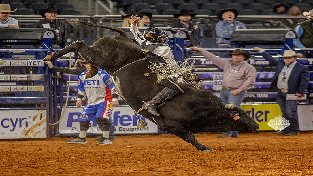 While there may be numerous forces at play for those 8 seconds of a bull ride, it is the middle of the bull's back that stays calm.