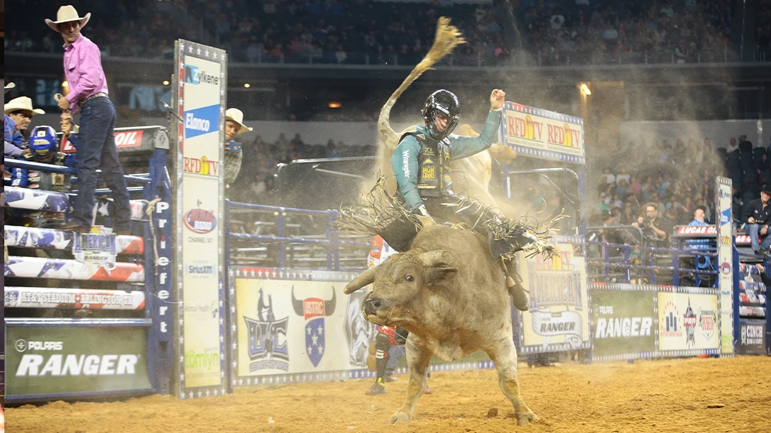 Professional Bull Riders of The American Rodeo