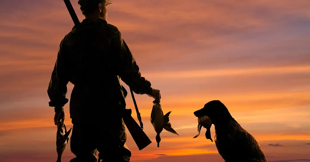 All about waterfowl hunting.