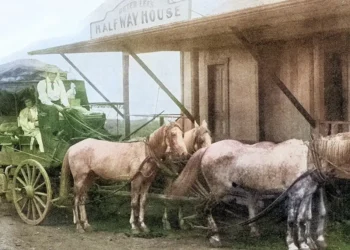 The Beast Holding the Reins