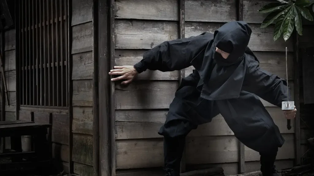 Ninja were experts at stealth.