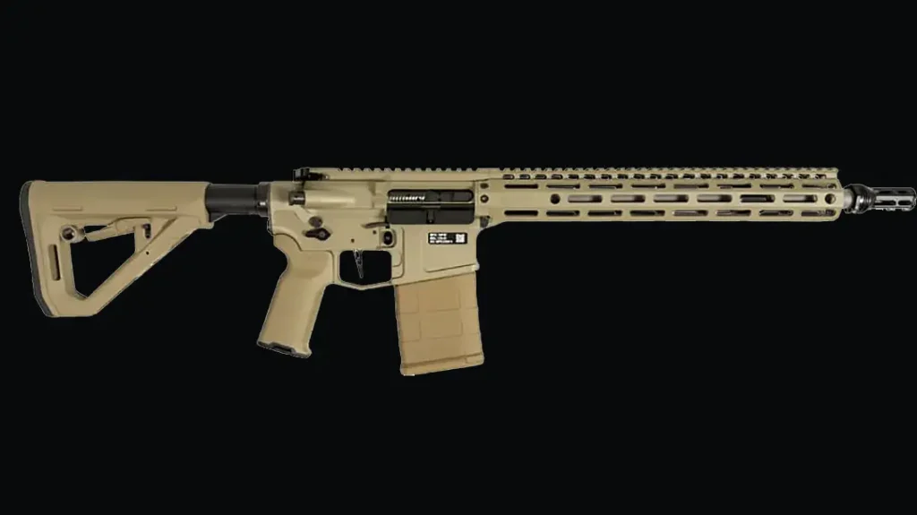 DS-25 Modern Fighting Rifle