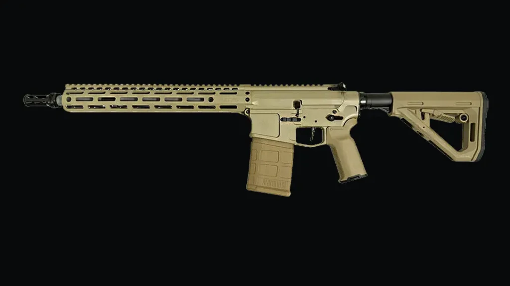 DS-25 Modern Fighting Rifle