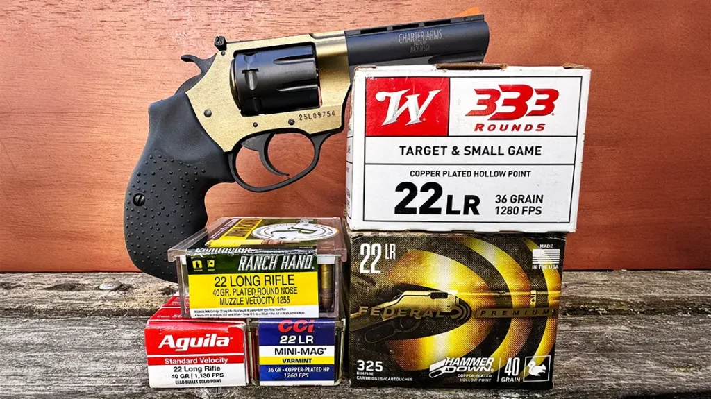 Before taking the Charter Arms Pathfinder II to the range, the author browsed through his ammo locker and came up with five different .22 LR test cartridges.