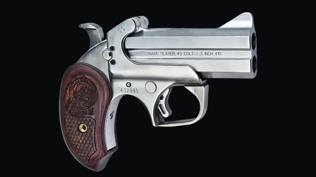 Bond Arms Snake Slayer