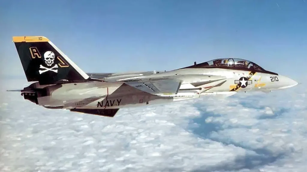The F-14 Tomcat